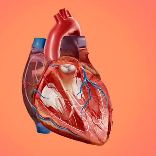 Heart Valve Treatment