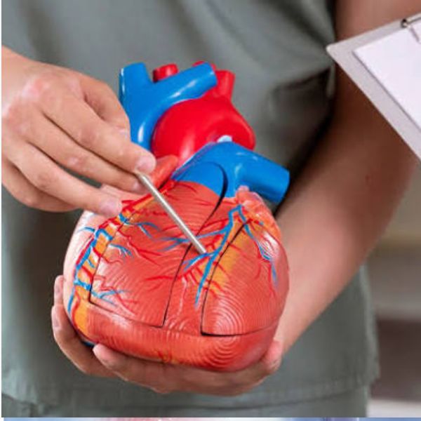 Coronary Imaging