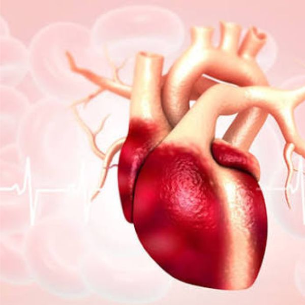 Preventive Cardiology